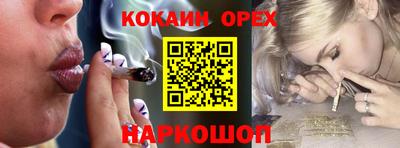 шишки Кимры