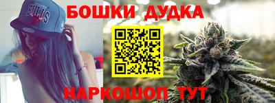 шишки Кимры
