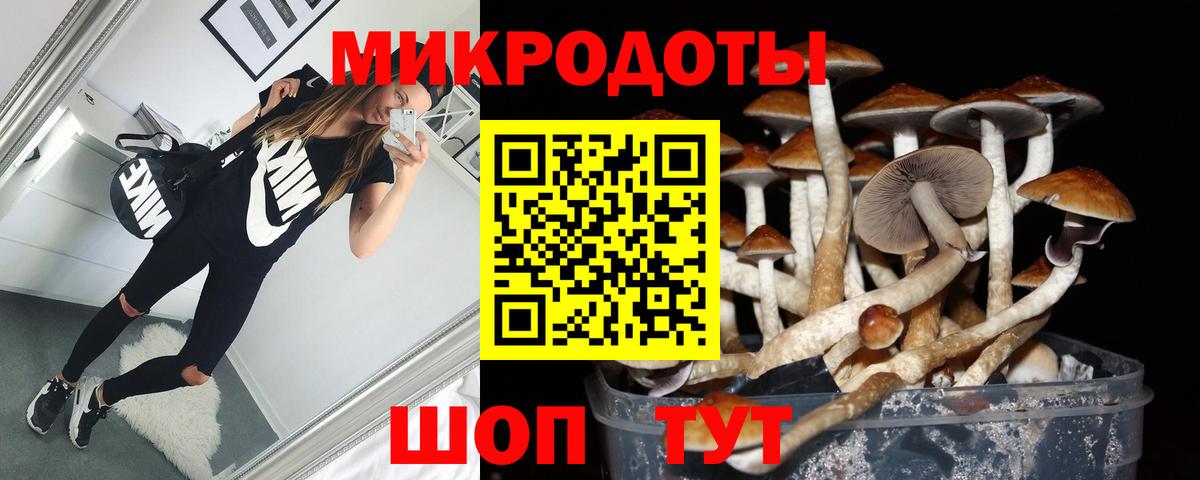 Псилоцибиновые грибы ЛСД Краснознаменск
